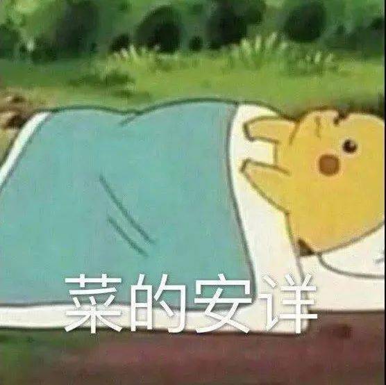 今日份表情包