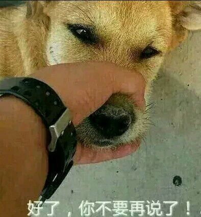 火速大回暖郑州最高温升至清明天气怎么样还有2个坏消息