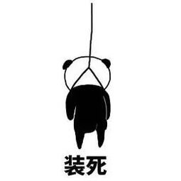 网通社汽车昆明博尧