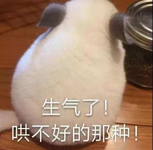 情人节礼物清单已上线,送这些最得女神心