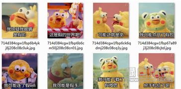 鹦鹉兄弟我可能开了假红包表情包鹦鹉兄弟表情包v2017高清版软件下载