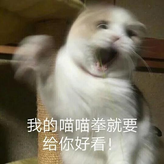 亚力士不可多得的相册一言不合就放图