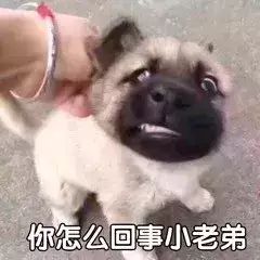 爸,我就想知道我钱是怎么没的