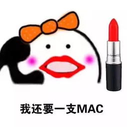 表情包喂小仙女,我发工资了,你想要买啥