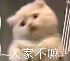 适合恋人聊天时用的表情包,快拿去和小哥哥斗智斗勇吧