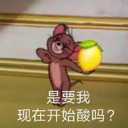 有没有拍摄vlog的群鸭