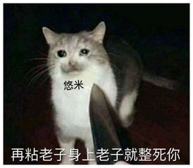 更看好哪组s9有可能出现的下路组合