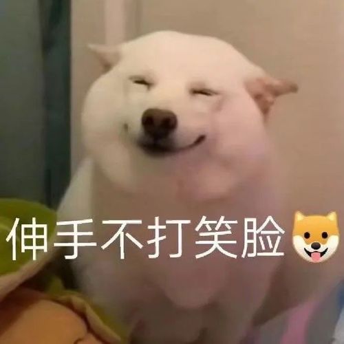 今日快乐源泉如果快乐是一种本领,那我们要做最厉害的人