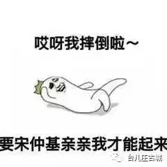你猜双宋cp的婚礼会是啥样