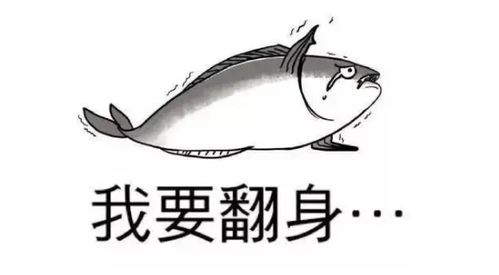 石家庄优加期中备考课班里尖子生都在听