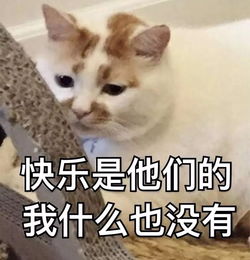 成为偶像经纪人,因偶像发表论文,这才是追星大神