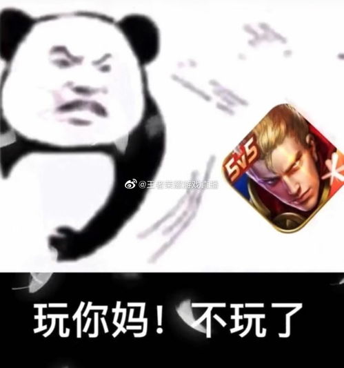 有没有适合群主管理员发的表情包我们是王者战队群能怼群员的表情包
