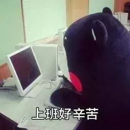 寒假方式,你属于哪一种