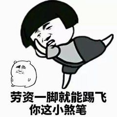 泰迪犬里最高贵优雅的颜色是哪种你绝对想不到