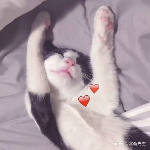 记录我和妹妹的小日常