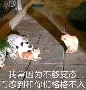 cosmo照妖镜下许晴居然肿成张檬了女星大合体果然比热搜更精彩