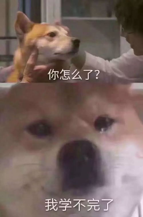 拆红包表情包猝不及防