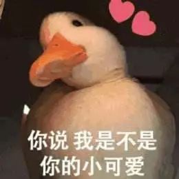 网红鸭子表情包动图欢度国庆