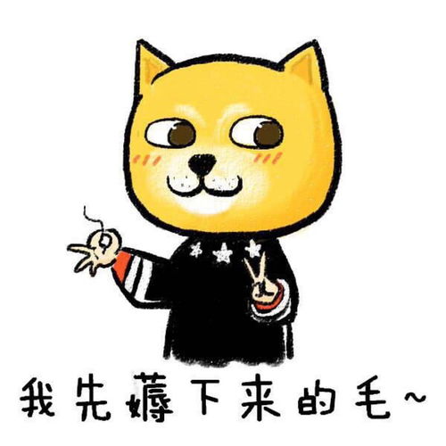 魔方车我们没有羊毛