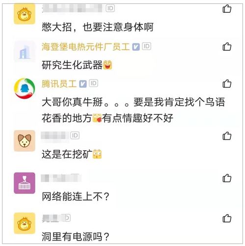 程序员辞职回老家山洞写代码,二年敲了45万行