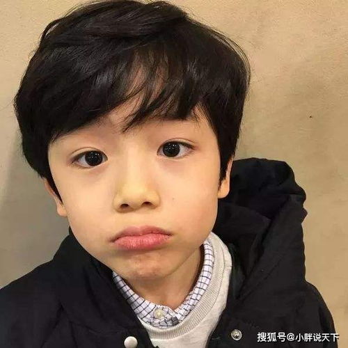 嘴笑小孩长大了17岁颜值意外撞脸董力,网友感觉换了个人