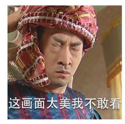 尔康你不要过来表情包