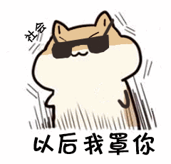 瓜子鼠表情包gif