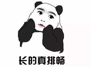 我身边的石家庄人都把我带坏了