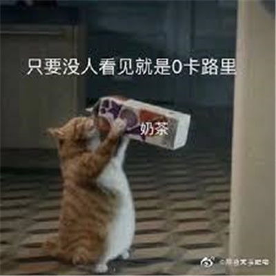 2021过年必备的减肥表情包渐渐的变胖的表情包