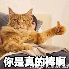 你知道我们相遇有多幸运吗