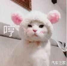 长安年中盛会邂逅鲁台车展福利超多
