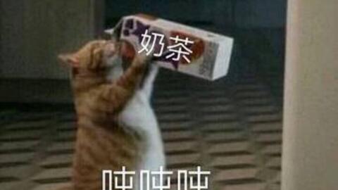 千与千寻小团子