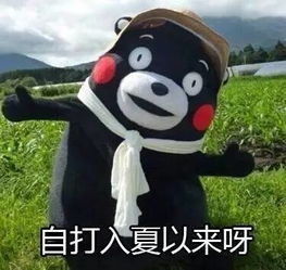 热得睡不着鞍山迎来34高温更可怕还不止这些