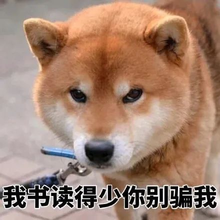 搞笑柴犬表情包,你说这话,你自己信