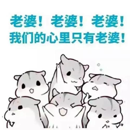 开心一笑大学时去网吧包宿,刷卡机上提示今天是您的生日段子