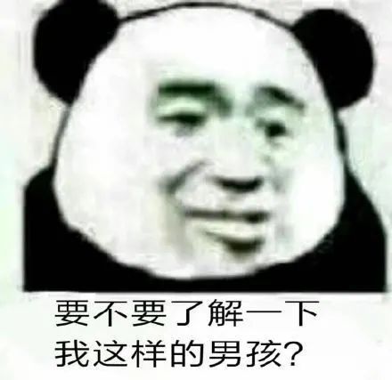 熊猫头表情包你是书吗怎么越看越想睡