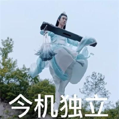 表情陈情令搞笑表情包,蓝忘机直接带跑偏,看到图三笑出眼泪腾讯网表情