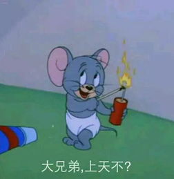 不要命司机高速一路逆行40公里,只因导航这样提示