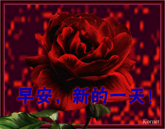 微信特漂亮的早上好问候动图表情,微信温暖人心的早上祝福语
