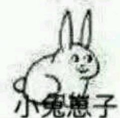 小兔崽子我才是你亲爹表情包小兔崽子表情包下载乐游网游戏下载