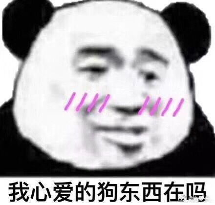 自杀式告白好像成功了给大家打打气记录我和大哥...