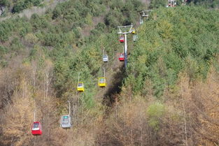 免费送800份森林礼包来自秦岭菇乡的味道,点击迎接双11福利