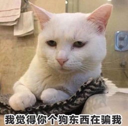 您的醋劲十足表情包已经上线,请注意查收,小柠檬请一边站