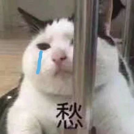 不耐受倒拔干到底是什么鬼这些护肤黑话你都知道几个