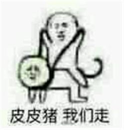 皮皮虾我们走到底啥意思