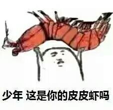 哔哩哔哩专栏