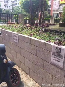 小萝莉路边一言不合化身老司机开卡车