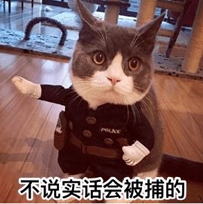 其实,留学申请最怕不讲实话实话实说的申请什么样专业