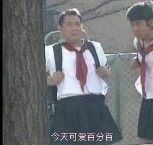 蛋友贴图专版