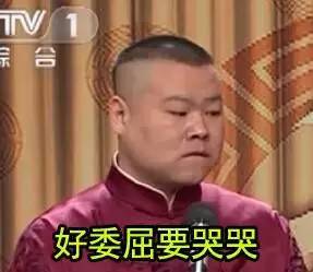 怎样优雅的用英语形容人蠢萌